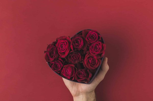 Où trouver les belles roses éternelles pour la Saint Valentin ?